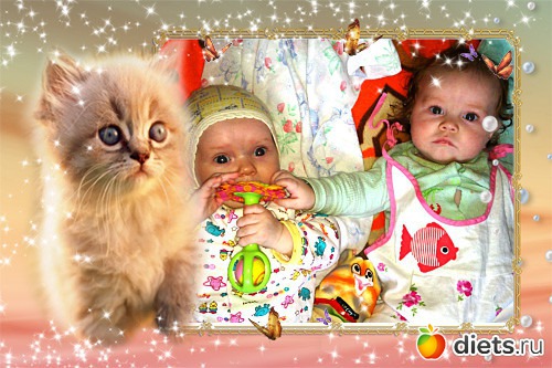 ��� �����