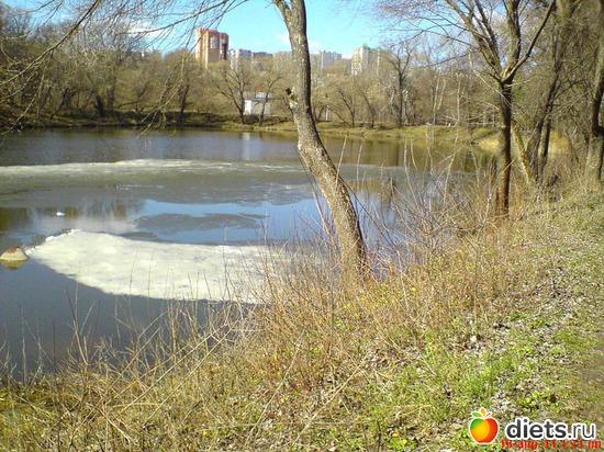 Таяние люда на реке Тускарь г. Курска.