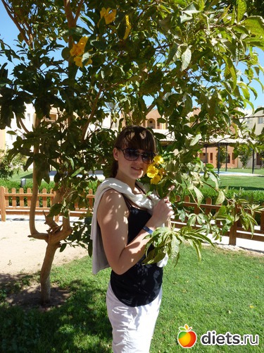 2 ����: �����