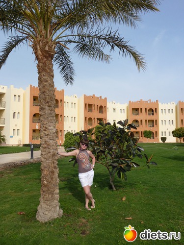 8 ����: �����