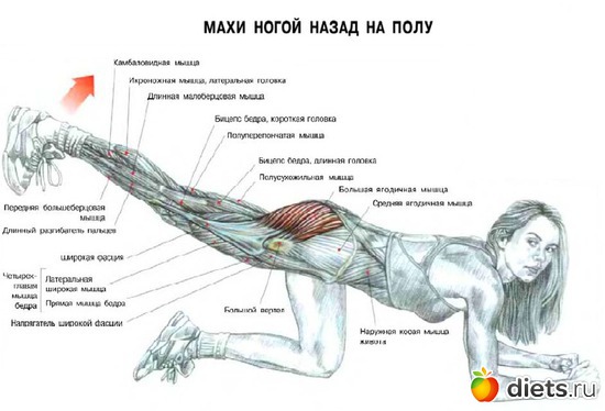 18 фото: полезное