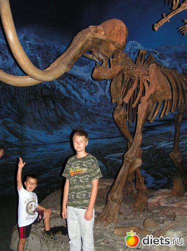 14 фото: Мои детки.