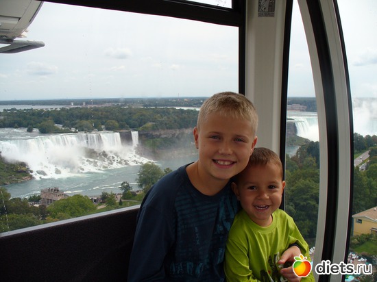 ���������� �������, 2006, ������: ��� �����.