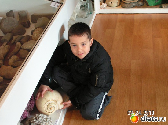 26 ����: ��� �����.