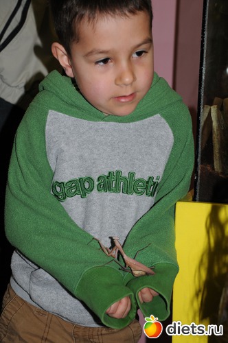 28 ����: ��� �����.