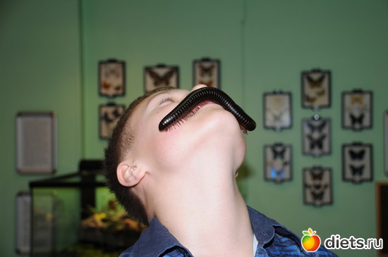 29 фото: Мои детки.