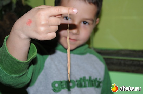 30 фото: Мои детки.