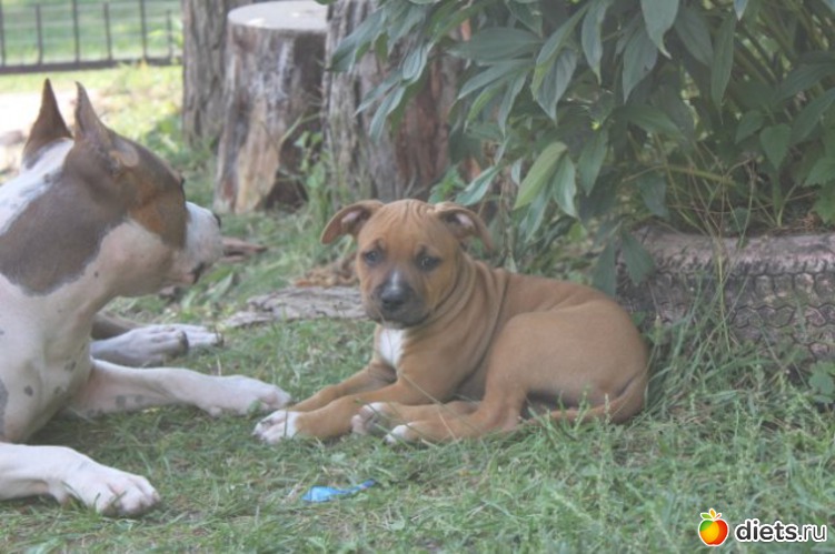 ��� ����������� ������ 3, ������: ��� �������