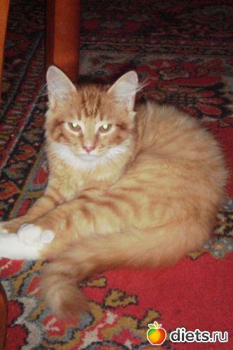 32 фото: хобби!!!и просто красота!!!