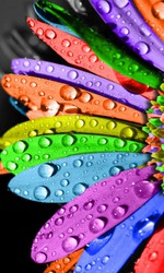 Прошу Совет!