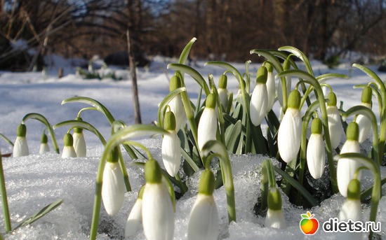 34 фото: открытки