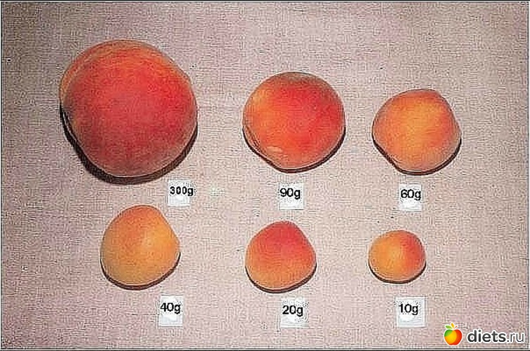 28 фото: Полезности (продукты в граммах)