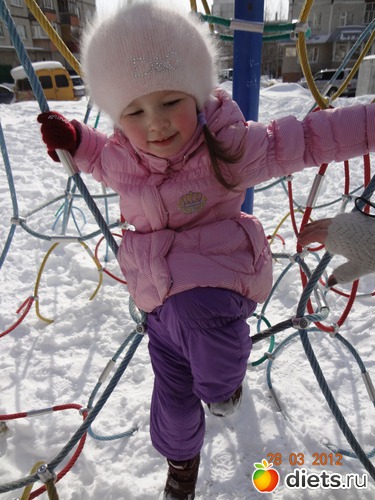 11 ����: �����  ���