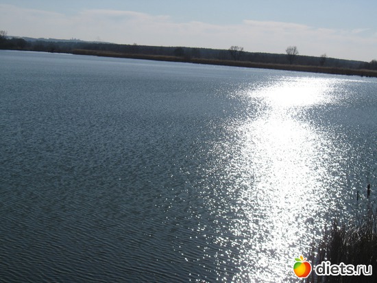 29 ����: ������� � ������