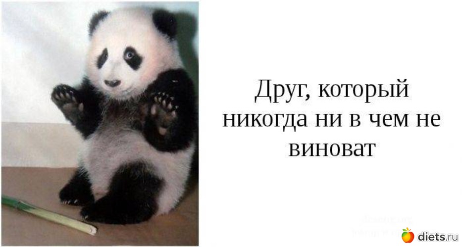 2 фото: типы друзей которые есть у каждого