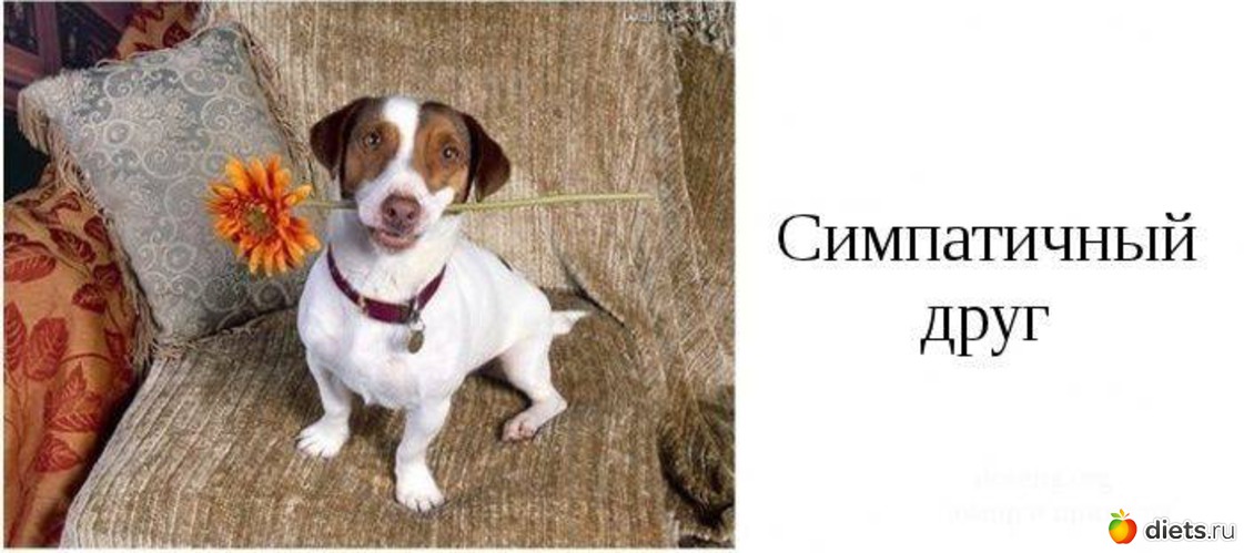 3 фото: типы друзей которые есть у каждого