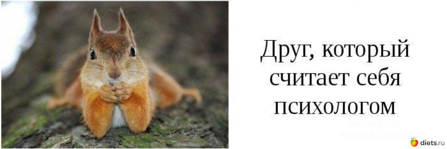 4 ����: ���� ������ ������� ���� � �������