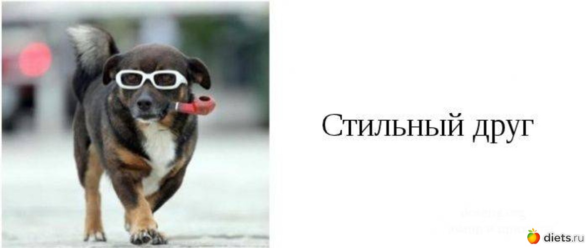 6 фото: типы друзей которые есть у каждого