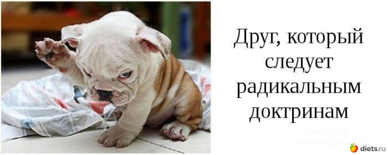 7 ����: ���� ������ ������� ���� � �������