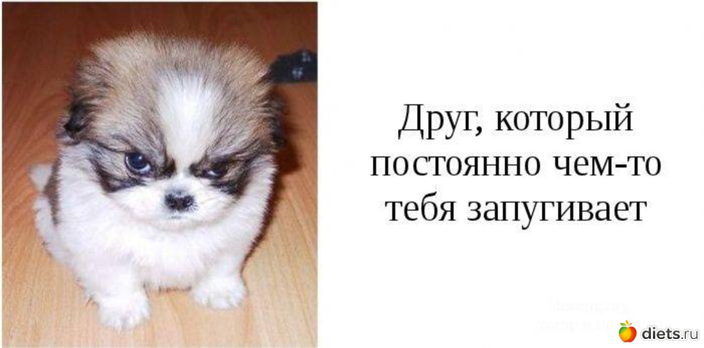 9 ����: ���� ������ ������� ���� � �������