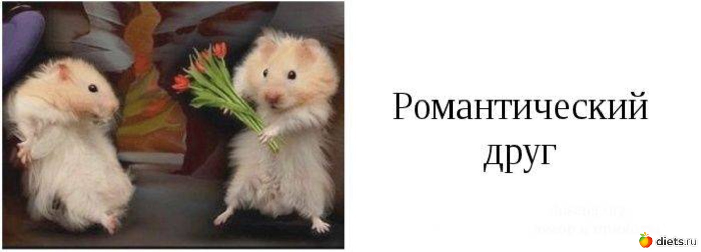 12 ����: ���� ������ ������� ���� � �������