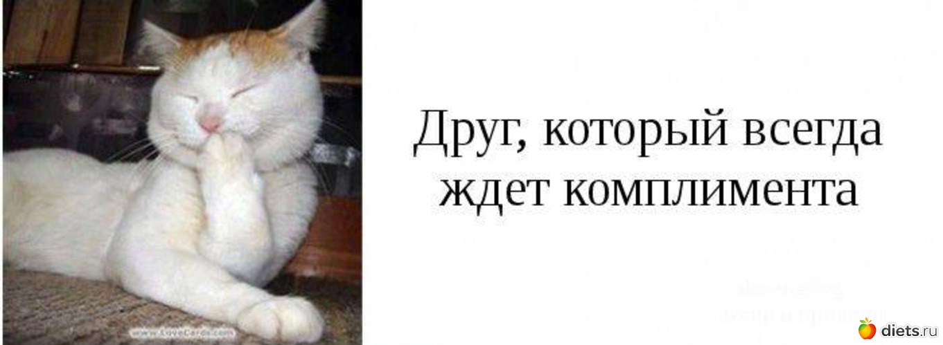 15 ����: ���� ������ ������� ���� � �������