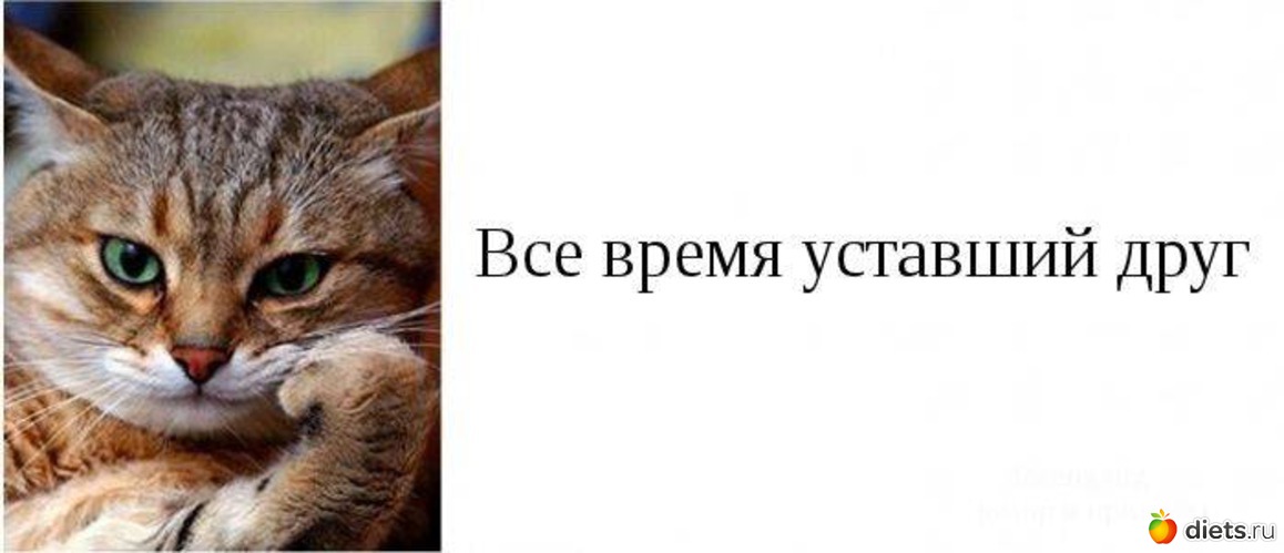 16 ����: ���� ������ ������� ���� � �������