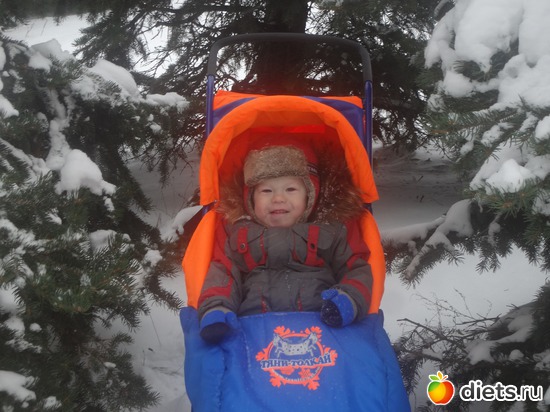 16 ����: �������