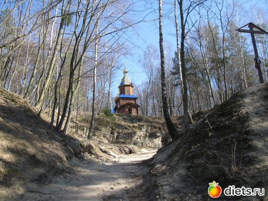 ����� ����, ������: ������� � ������