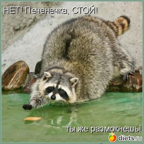 57 фото: Мотивашки*