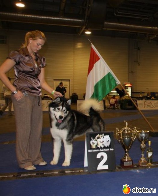 2 ����: ��������