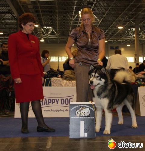 3 ����: ��������