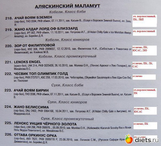 4 фото: животные