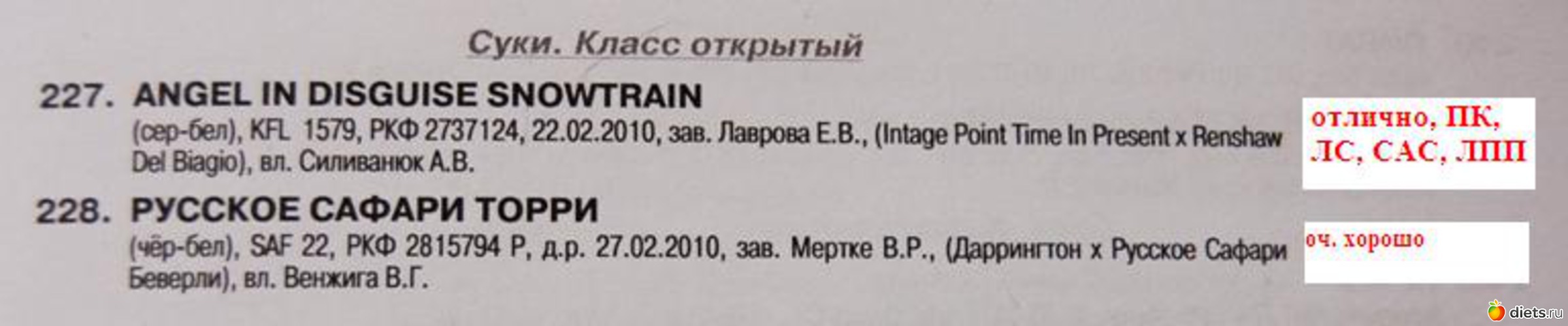 5 фото: животные