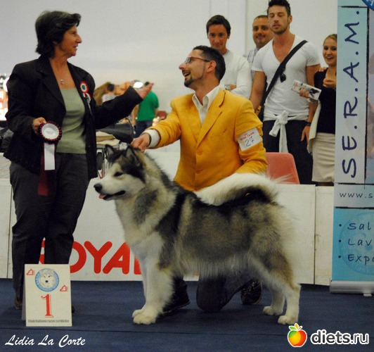 7 фото: животные