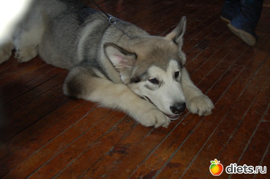 8 ����: ��������