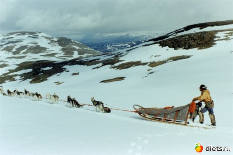 9 фото: животные