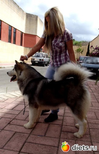 10 фото: животные