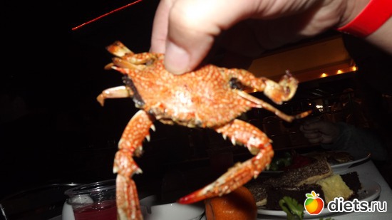 вот так нас кормили, альбом: Отпуск.