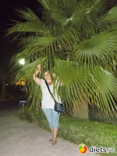 я и пальма, альбом: Отпуск.