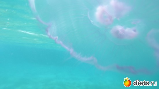 ������, ������: ������.