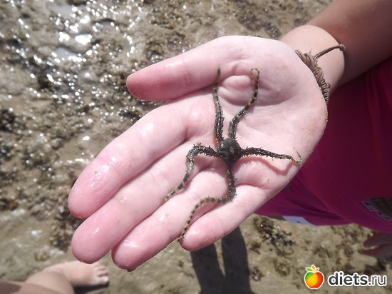 ���������, ������: ������.