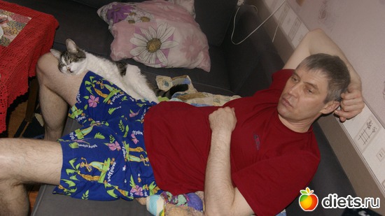 33 фото: Кошки и собаки! Все наши!