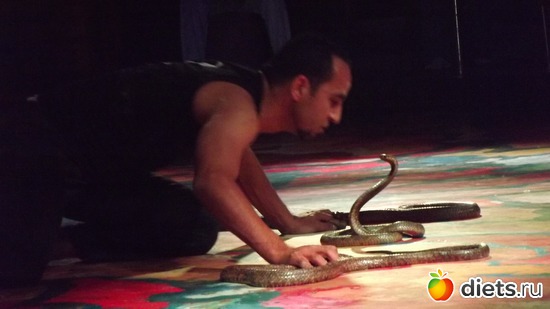 Кобра, альбом: Отпуск.