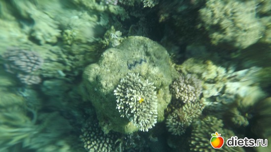 30 фото: Отпуск.