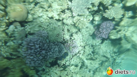 33 ����: ������.