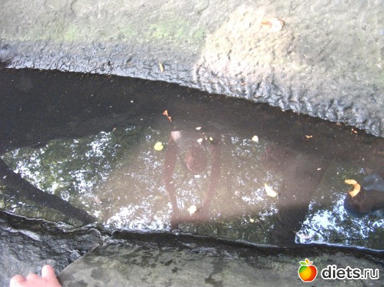 Дольмен, загадка истории. Вода кажется черной, а в реале кристально-прозрачная. Никогда не гниет, альбом: Лермонтово