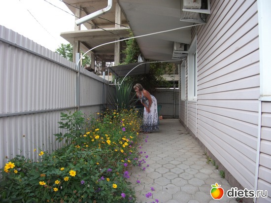 ��������� ����� � ���������, ������: ����������