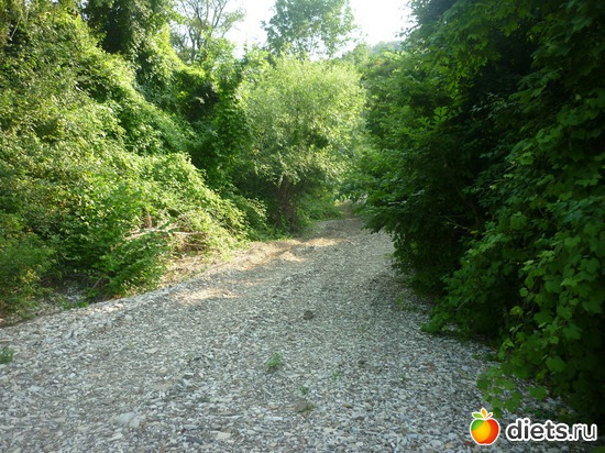 ������ �����, ������: ����������