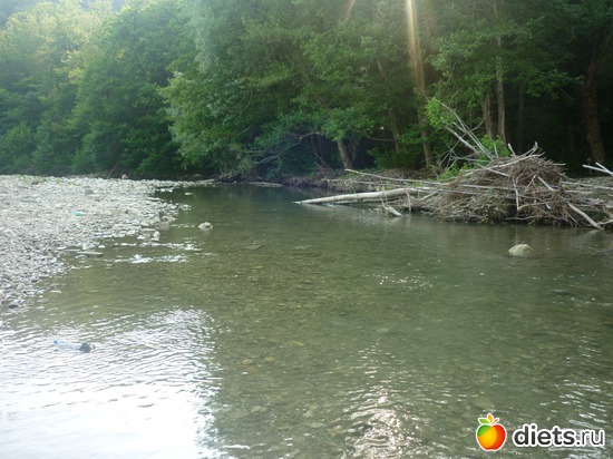 ������ ��� 1, ������: ����������